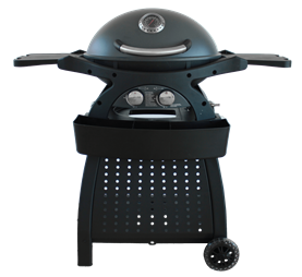 Alva™ - G651: Mondo 2-Burner Gas BBQ & Cart