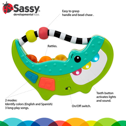  Sassy Rock-a-Dile Electronic Toy 