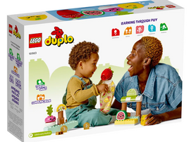 LEGO® DUPLO® My First Organic Market 10983