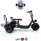 IGlide® 3 Wheel Trike Lithium Electric Estate Glider