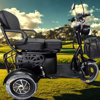 IGlide® Glide Master Mobility Trike