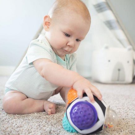  Sassy Chime & Chew Textured Ball 