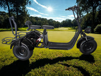 iGlide® 3 Wheel Trike Electric Estate Glider Scooter