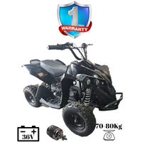 iGlide® Kids Electric Ride On V2 Quad Bike 1000W Brushless 36V 5XL