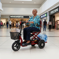 iGlide® Eazy Fold Electric Mobility Scooter