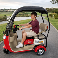 IGlide® Herbie Mobility Trike