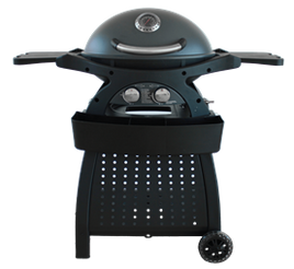 Alva™ - G651: Mondo 2-Burner Gas BBQ & Cart