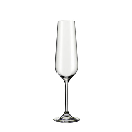  Bohemia Cristal Glassware - No. 1 Champagne 220ml (6) 