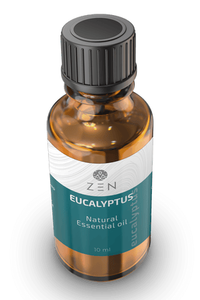  ZEN Oil 10ml - Eucalyptus 