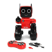 Cady Wile Educational Robot
