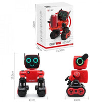 Cady Wile Educational Robot