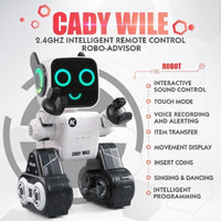 Cady Wile Educational Robot