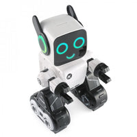 Cady Wile Educational Robot