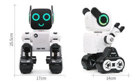 Cady Wile Educational Robot
