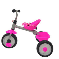 Little Bambino Push Bar Trike