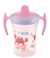 NUK Evolution Trainer Cup with Spout 230ml