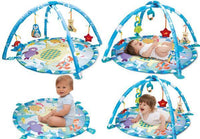 Winfun Polar Fiesta Play Gym