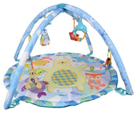Winfun Polar Fiesta Play Gym