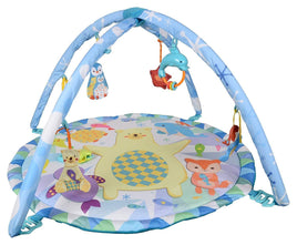 Polar Fiesta Play Gym Todd Agencies